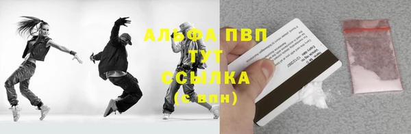 прущие грибы Орск