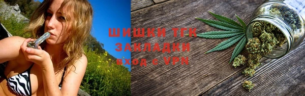 прущие грибы Орск