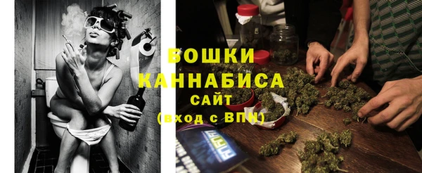 прущие грибы Орск