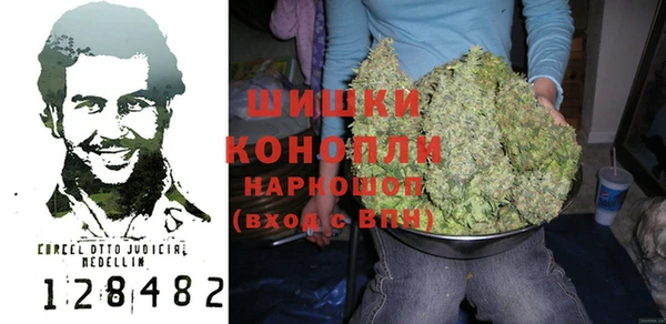 прущие грибы Орск