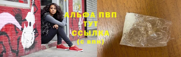 прущие грибы Орск
